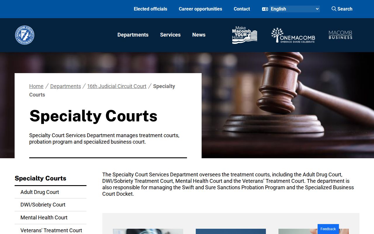 Macomb County criminal court dockets and specialty court services